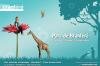 Parc animalier de Branf�r�